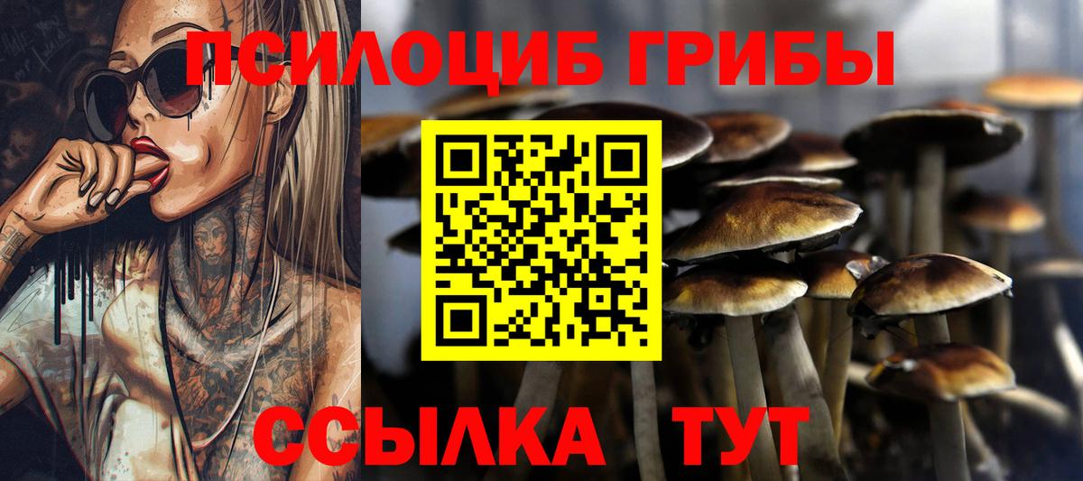 Жуковский  Псилоцибиновые грибы ЛСД  Вход с VPN  Галлюциногенные грибы Psilocybine cubensis 